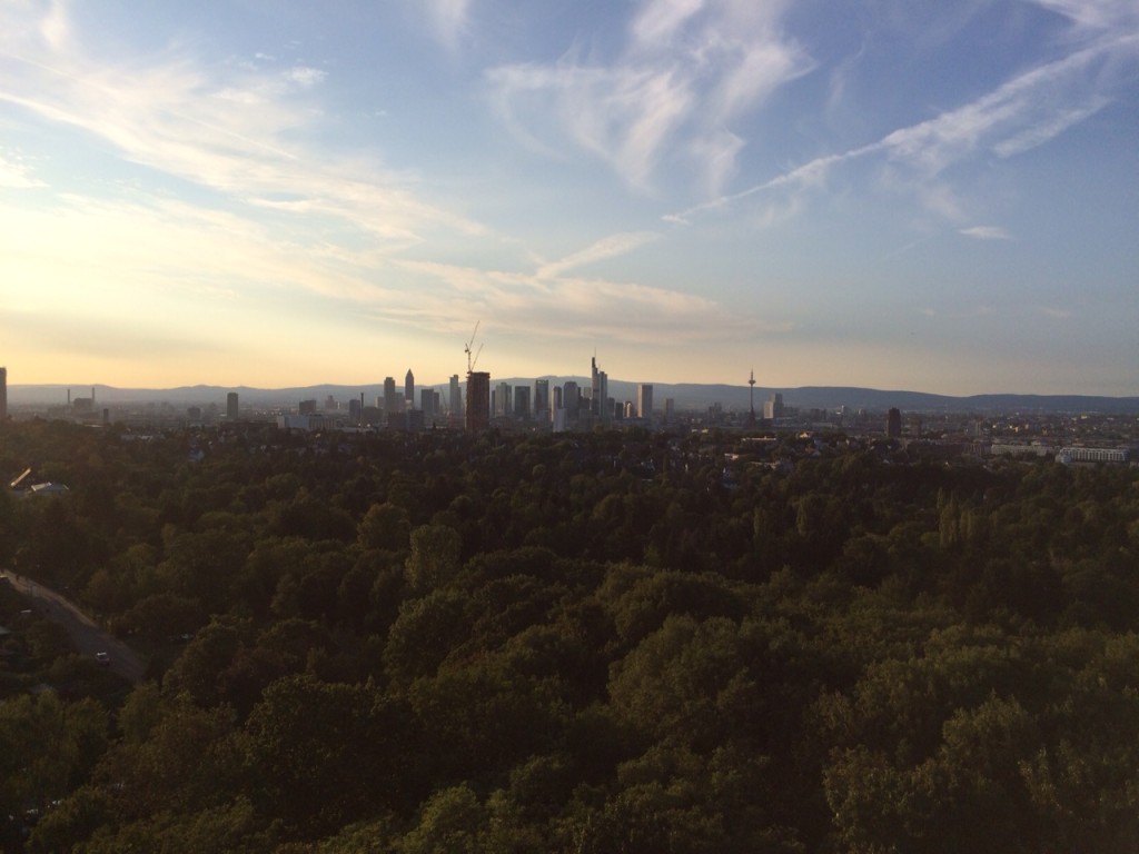 Blick vom Goetheturm